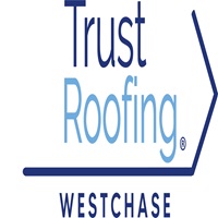 Image for Trust Roofing - Westchase with ID of: 6890159