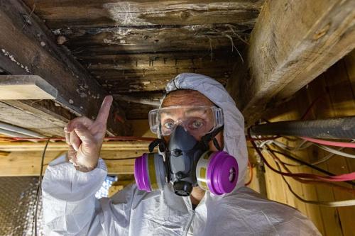 Image for Purified Environments with ID of: 6635083