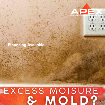 Image for Apex Foundation Specialists with ID of: 6635301