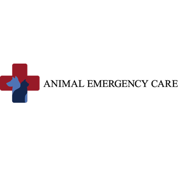 Image for Animal Emergency Care with ID of: 6890848