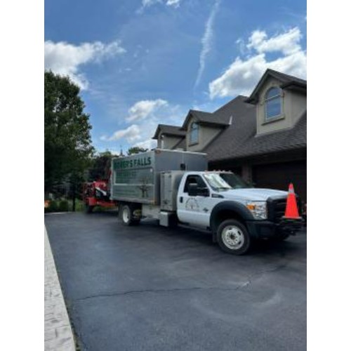 Image for Borer's Falls Tree Service with ID of: 6636330
