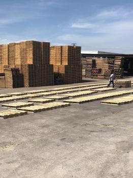 Image for PalletOne Inc. with ID of: 6636449