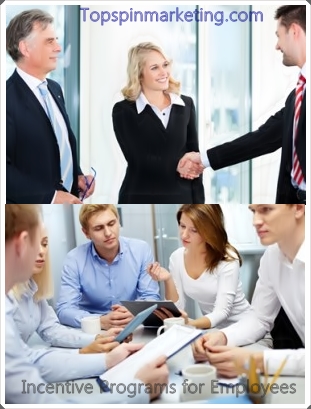 Image for Incentive Programs for Employees with ID of: 689123