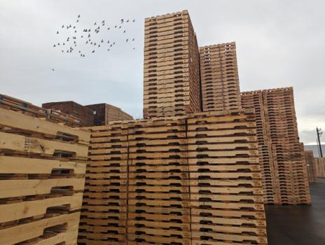 Image for PalletOne Inc. with ID of: 6636954