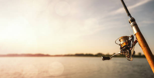 Image for Why Choosing the Right Fishing Reel Changed My Entire Fishing Experience with ID of: 6891923