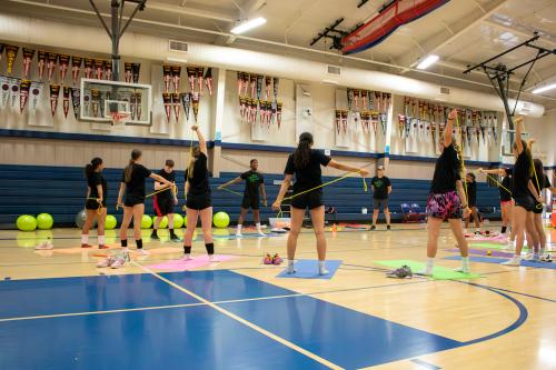 Image for BAM BAM Training with ID of: 6637429
