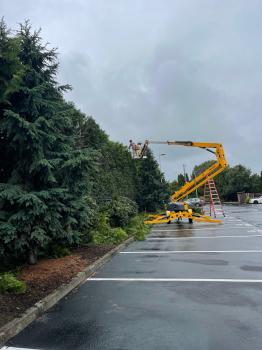 Image for Portland Tree Co with ID of: 6638205