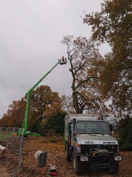 Image for Plantscape Tree Services Ltd with ID of: 6639235