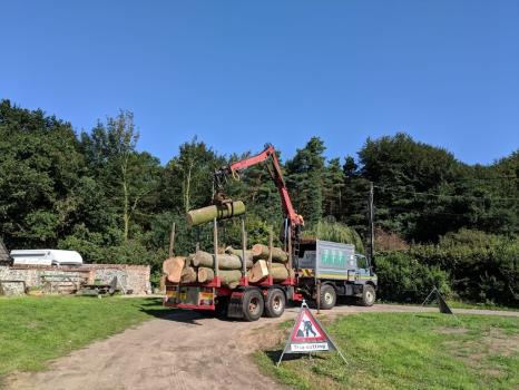 Image for Plantscape Tree Services Ltd with ID of: 6639237