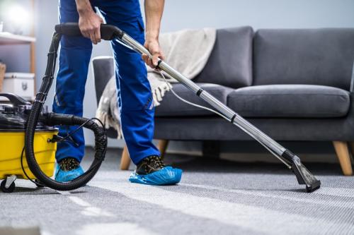 Image for Horizon Rug Care with ID of: 6639468