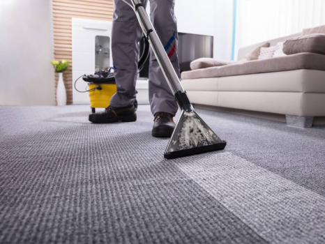 Image for Horizon Rug Care with ID of: 6639474