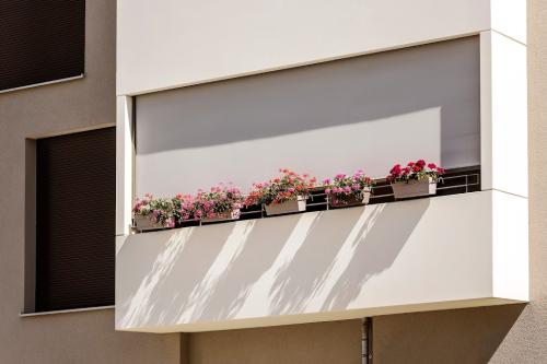 Image for Luxurious Louvers with ID of: 6640670