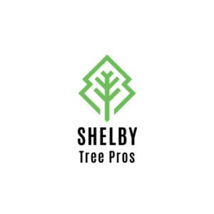 Image for Shelby Tree Pros with ID of: 6894925