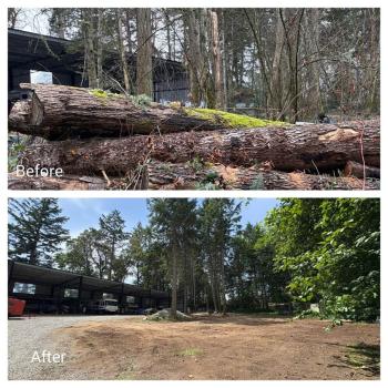 Image for JBM Custom Contracting, one stop solution for Exterior Cleaning, Landscaping, Junk Removal + Demolition and Maintenance with ID of: 6641885
