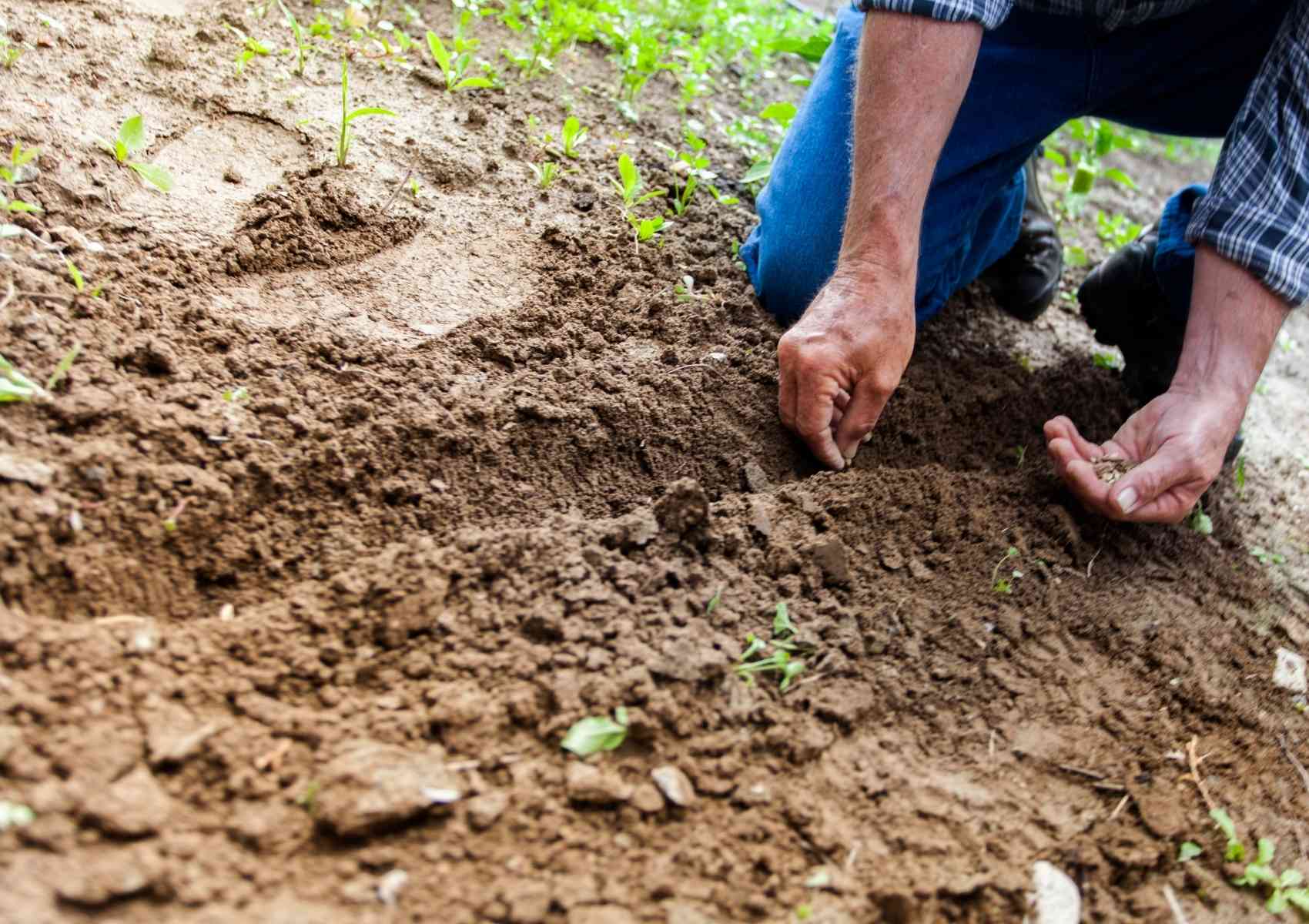 Image for Landscaping Coquitlam Ecopros with ID of: 6643688