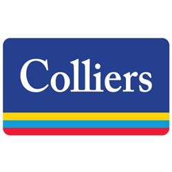 Image for Colliers Sydney with ID of: 6896171