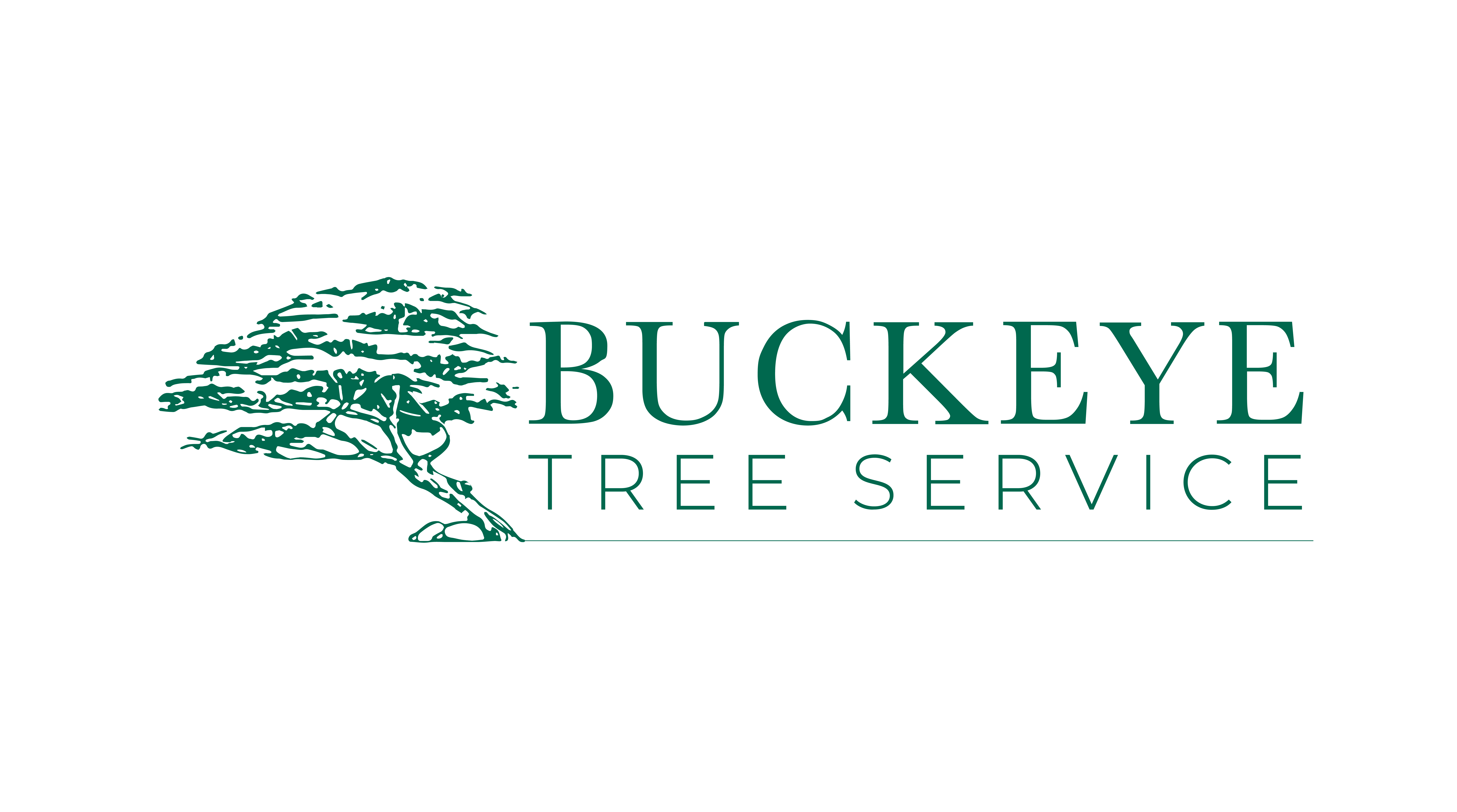 Image for Buckeye Tree Services with ID of: 6897778