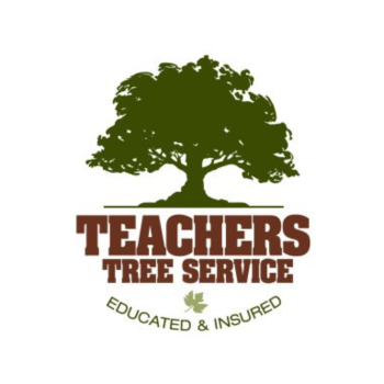 Image for Teacher's Tree Service with ID of: 6899367