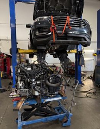 Image for Elite Automotive with ID of: 6644470