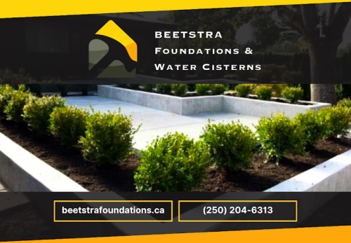 Image for Beetstra Foundations with ID of: 6645506