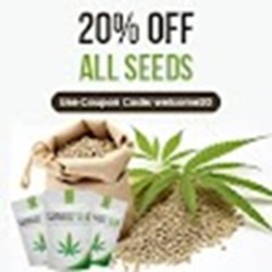 Image for Cannabiz Seed with ID of: 6648870
