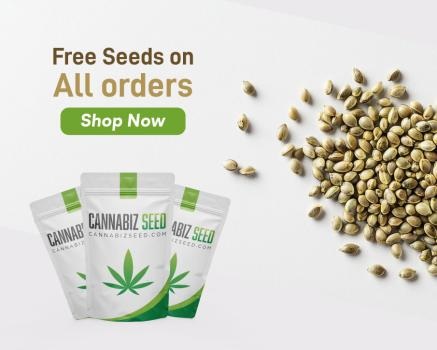 Image for Cannabiz Seed with ID of: 6648871