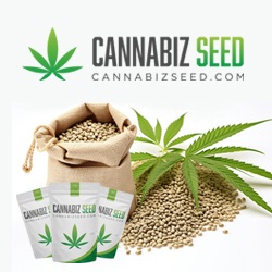 Image for Cannabiz Seed with ID of: 6648872