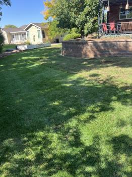 Image for American Turf & Tree Care with ID of: 6649082