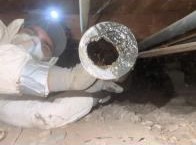 Image for Honestee Plumbing with ID of: 6649304