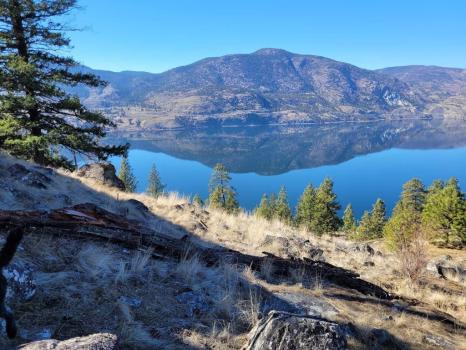 Image for Pamela Hanson PREC Heather Smith RE MAX Penticton Realty with ID of: 6650546