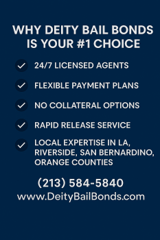 Image for Deity Bail Bonds with ID of: 6650678