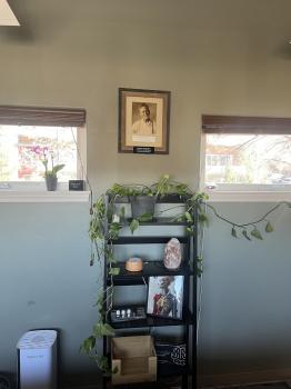 Image for Durango Integrative Medicine and Osteopathy with ID of: 6652044