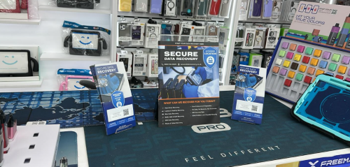 Image for Secure Data Recovery Services with ID of: 6652684