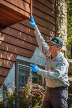 Image for Croach Pest Control with ID of: 6653677