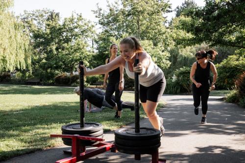 Image for VBC Fitness with ID of: 6655260