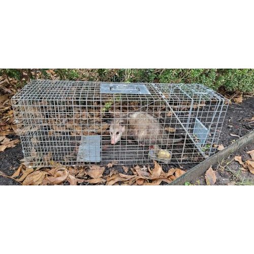 Image for Critter Stop with ID of: 6656204
