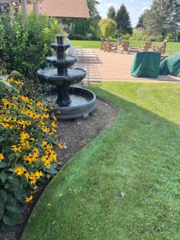 Image for High Quality Lawn Care with ID of: 6656553