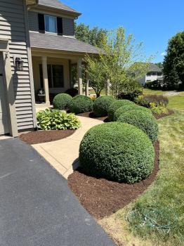 Image for High Quality Lawn Care with ID of: 6656554