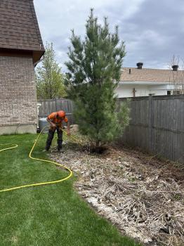 Image for Eastern Ontario Arborists Inc. with ID of: 6657183