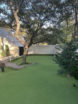 Image for TexasTurf with ID of: 6658572