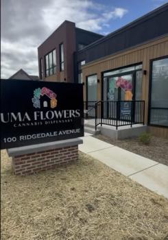Image for Uma Flowers with ID of: 6658930