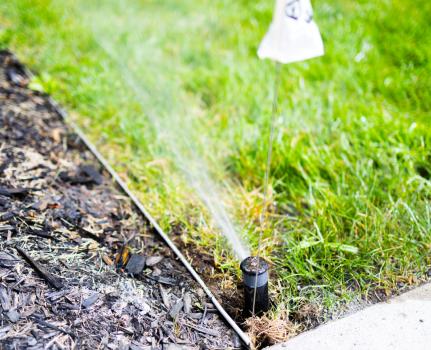 Image for Irrigation Mont-Royal with ID of: 6660163