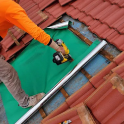 Image for The Roof Man with ID of: 6660486