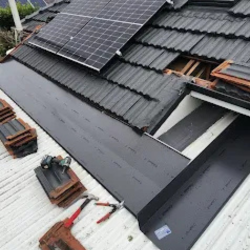 Image for The Roof Man with ID of: 6660488