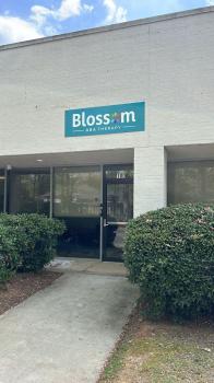 Image for Blossom ABA Therapy with ID of: 6660802