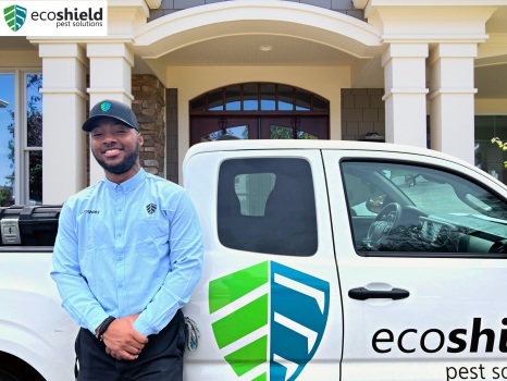 Image for EcoShield Pest Solutions with ID of: 6660813