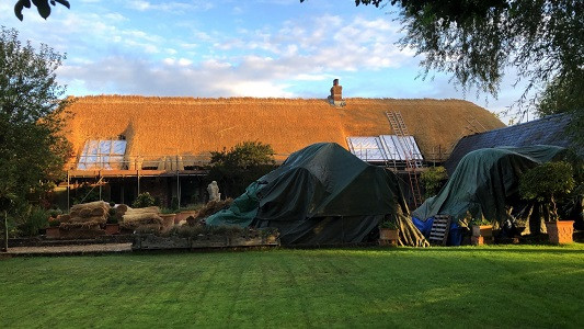 Image for Elite Master Thatching with ID of: 6661317