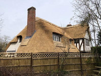 Image for Elite Master Thatching with ID of: 6661339