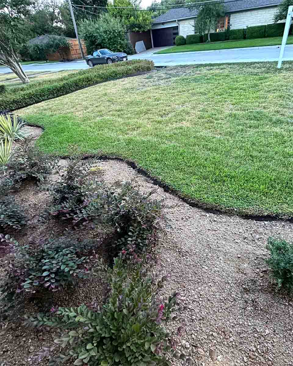 Image for Secret Gardens with ID of: 6662018