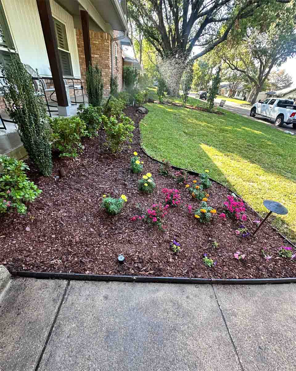 Image for Secret Gardens with ID of: 6662020